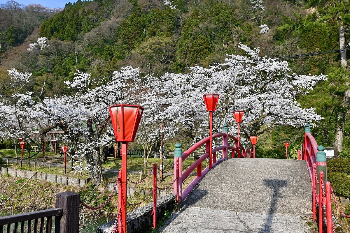🏞️ 쇼가와 물 기념 공원(쇼가와미즈키넨코엔) 이미지 7